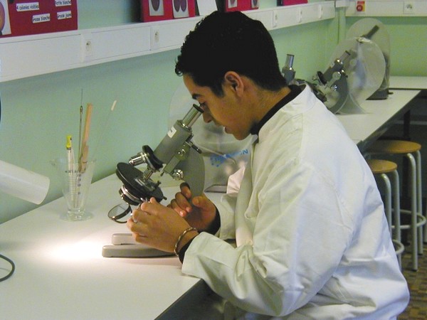 Agent polyvalent de restauration Agent polyvalent de restauration